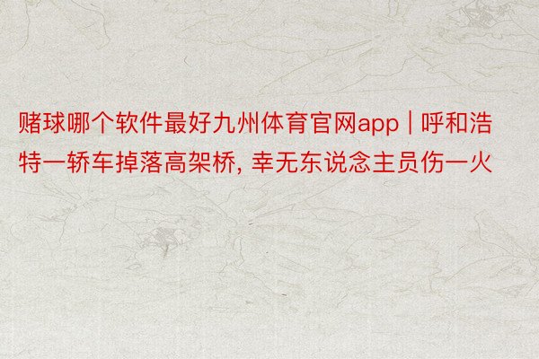 赌球哪个软件最好九州体育官网app | 呼和浩特一轿车掉落高架桥， 幸无东说念主员伤一火